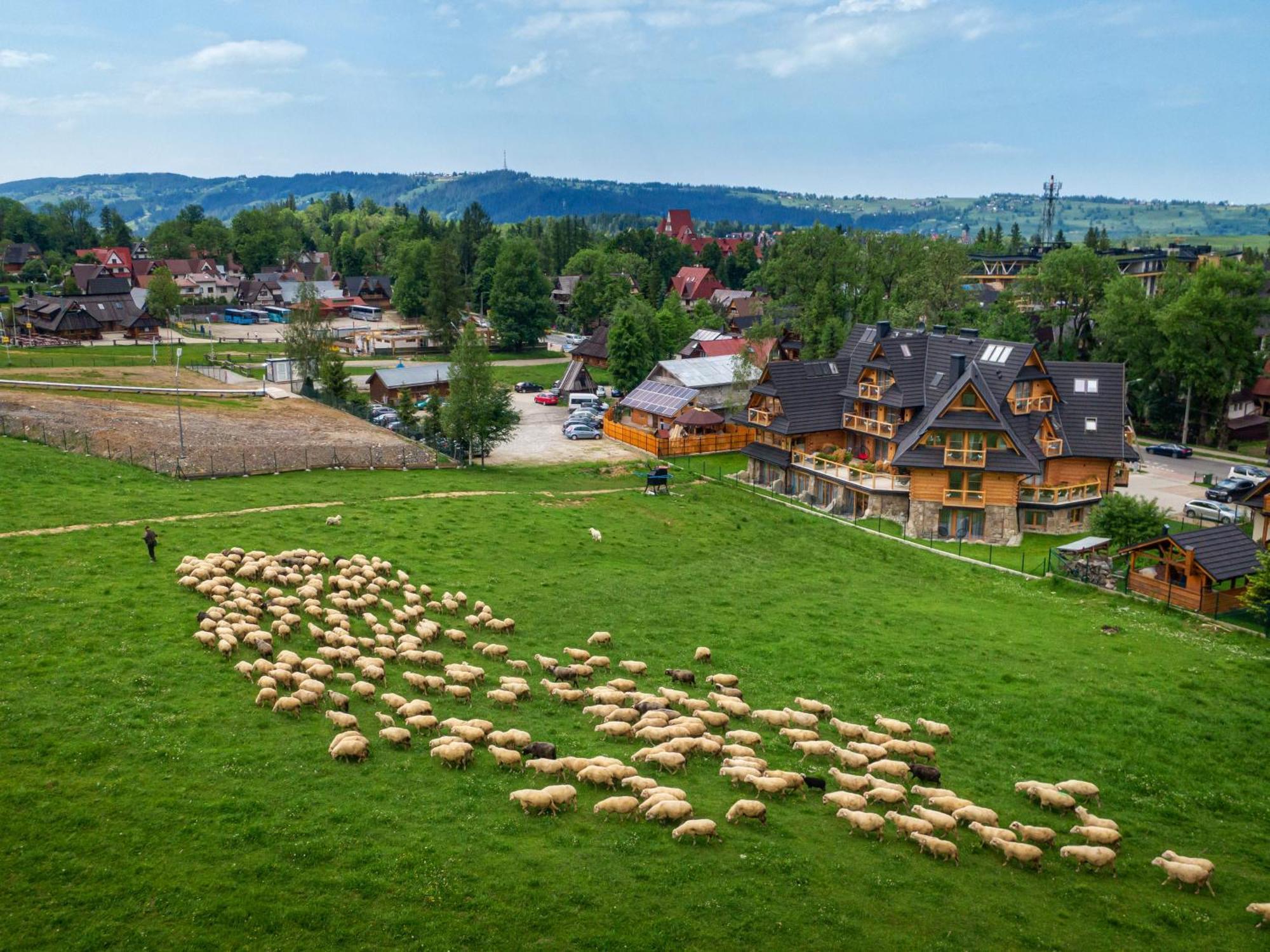 Nosal Apartment Zakopane Buitenkant foto