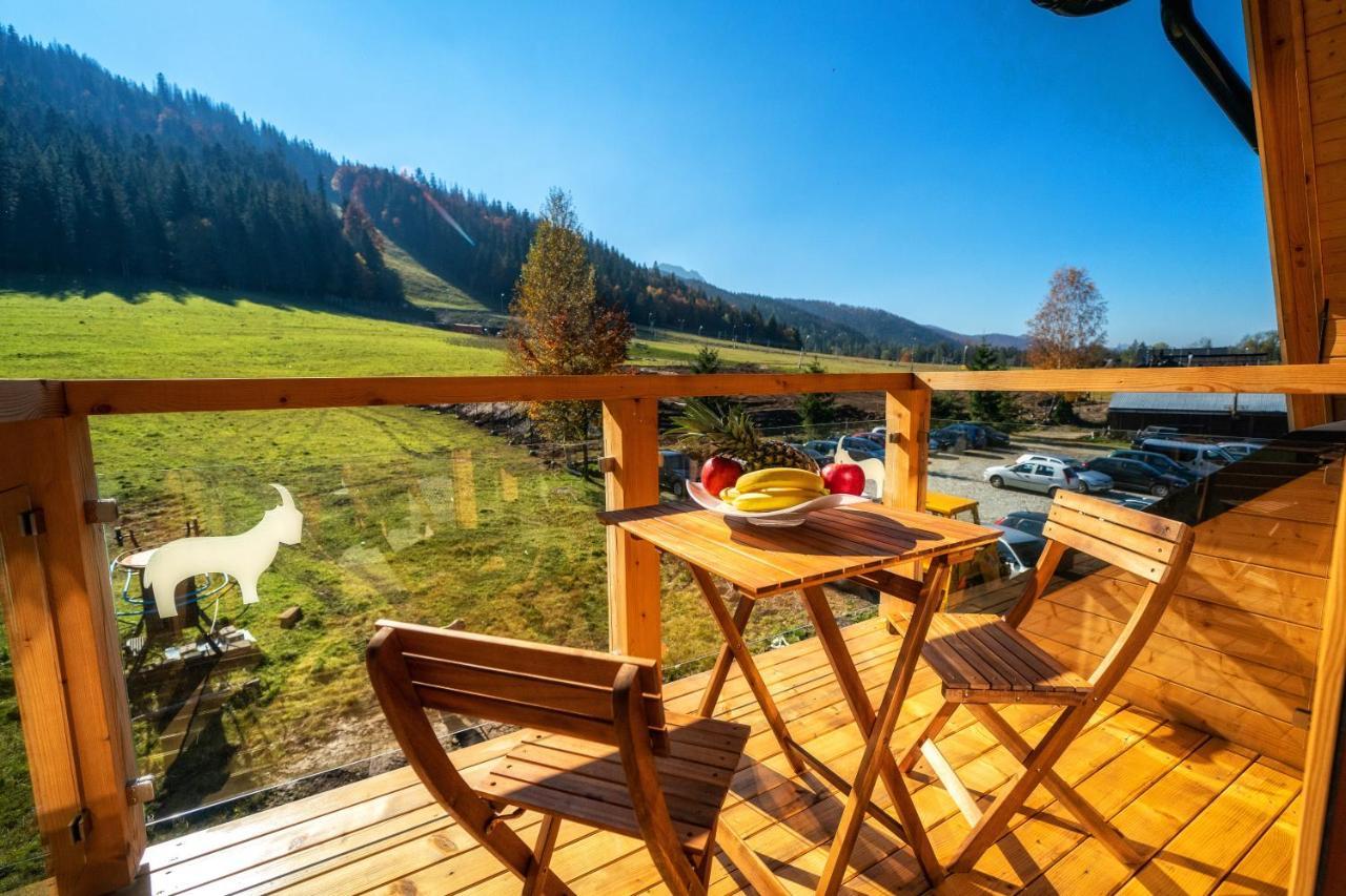 Nosal Apartment Zakopane Buitenkant foto